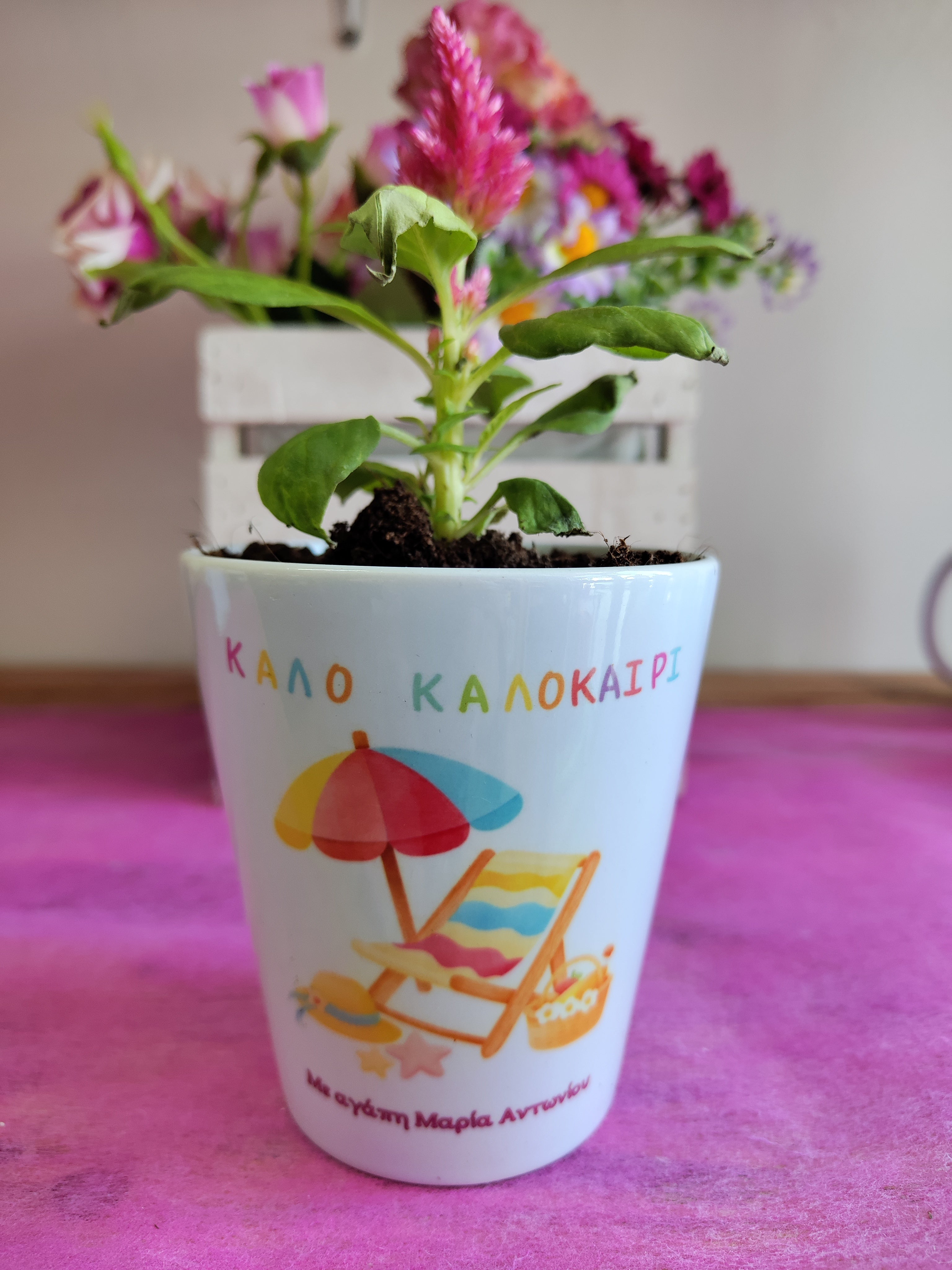 Προσωποποιημένο Γλαστράκι Flowerpot